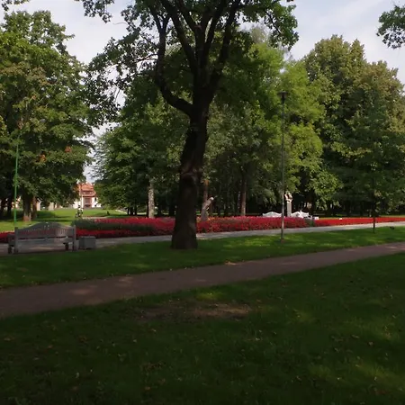 公寓 Jaukus Butas Klaipedos Centre 克莱佩达