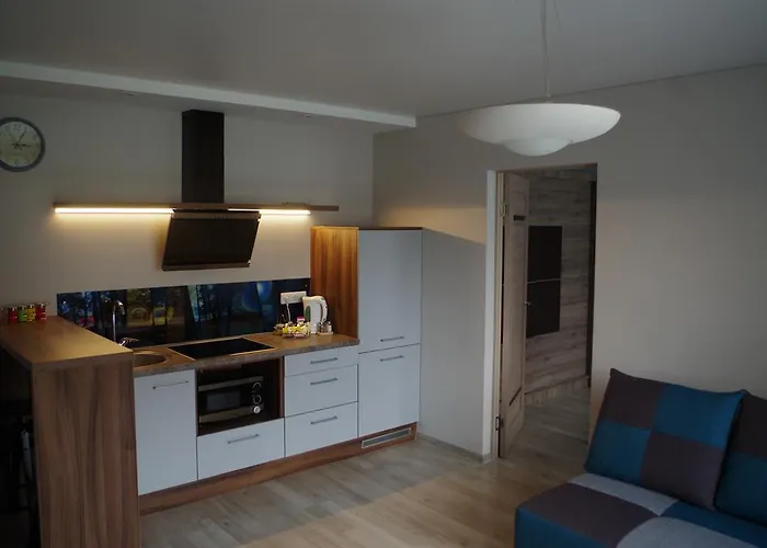 Jaukus Butas Klaipedos Centre 克莱佩达